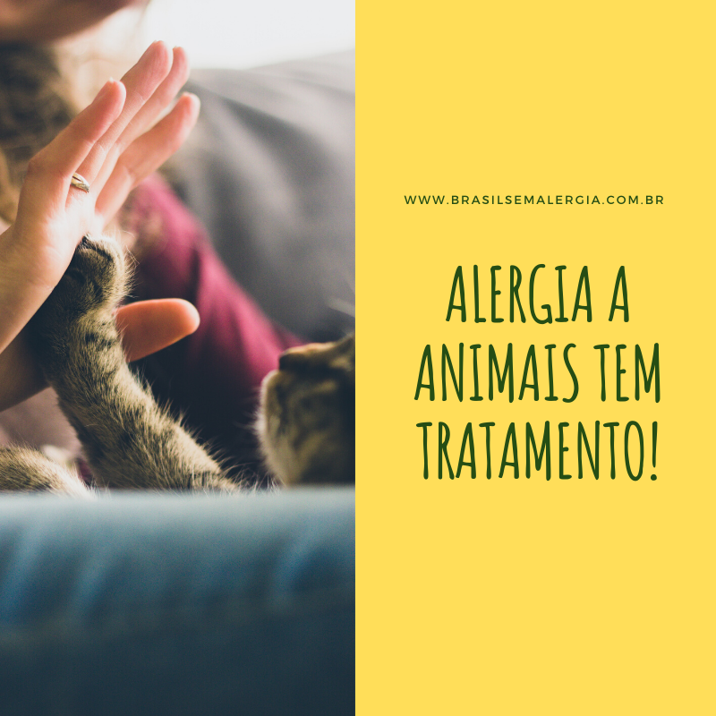 78144962 1372638282907038 5024860910229913600 n