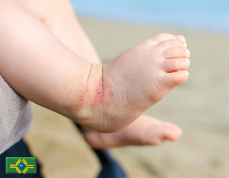 AdobeStock 119264184