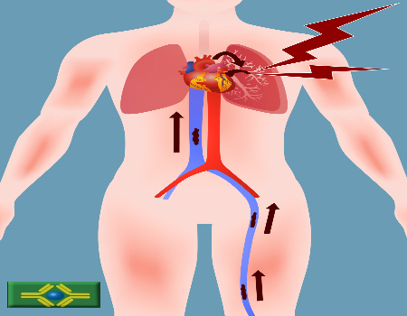 AdobeStock 141702285 1