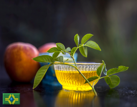 AdobeStock 231188460