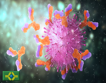 AdobeStock 291684817