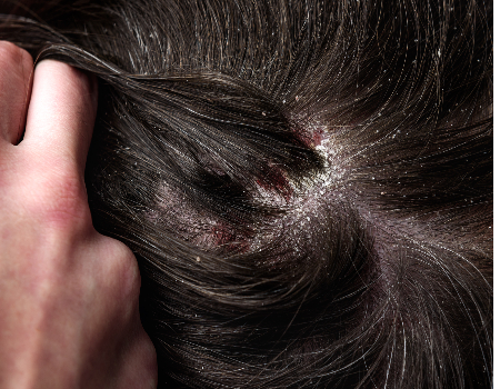 AdobeStock 456163974