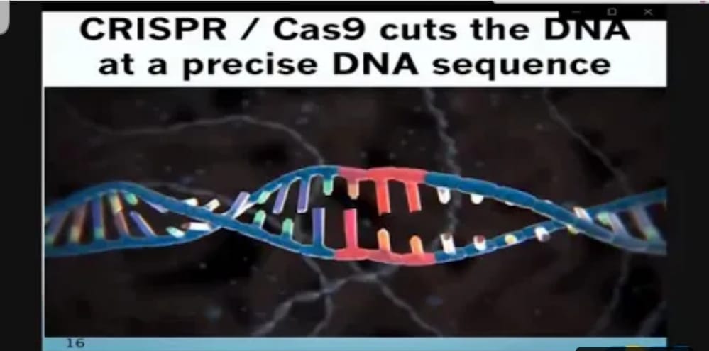 WhatsApp Image 2022 08 19 at 10.09.50