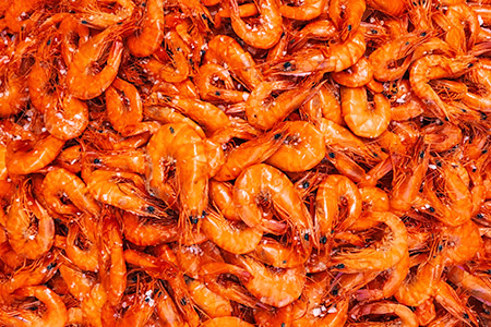 O Projeto Brasil sem Alergia oferece gratuitamente, em todas as suas unidades no Rio de Janeiro, testes para avaliação e prevenção de alergias alimentares